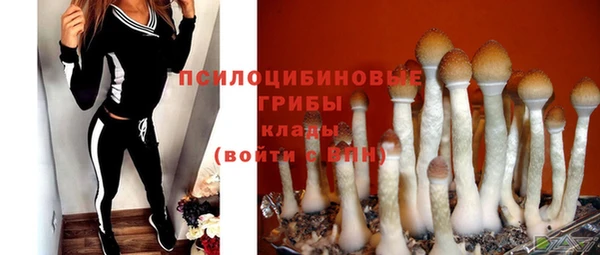 наркотики Гусиноозёрск