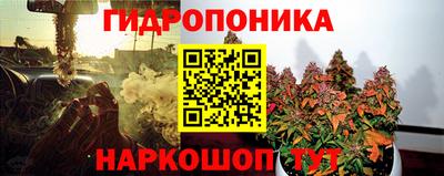наркотики Заводоуковск