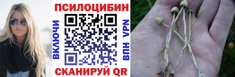 Галлюциногенные грибы GOLDEN TEACHER Москва