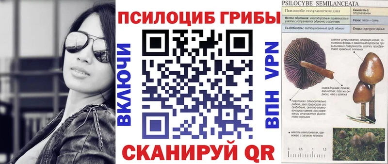 Псилоцибиновые грибы Cubensis Москва